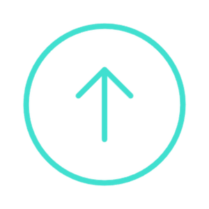 Upgrade Fee (+ $30)